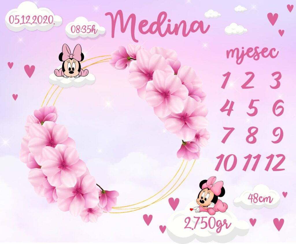 Minnie i pink vijenac