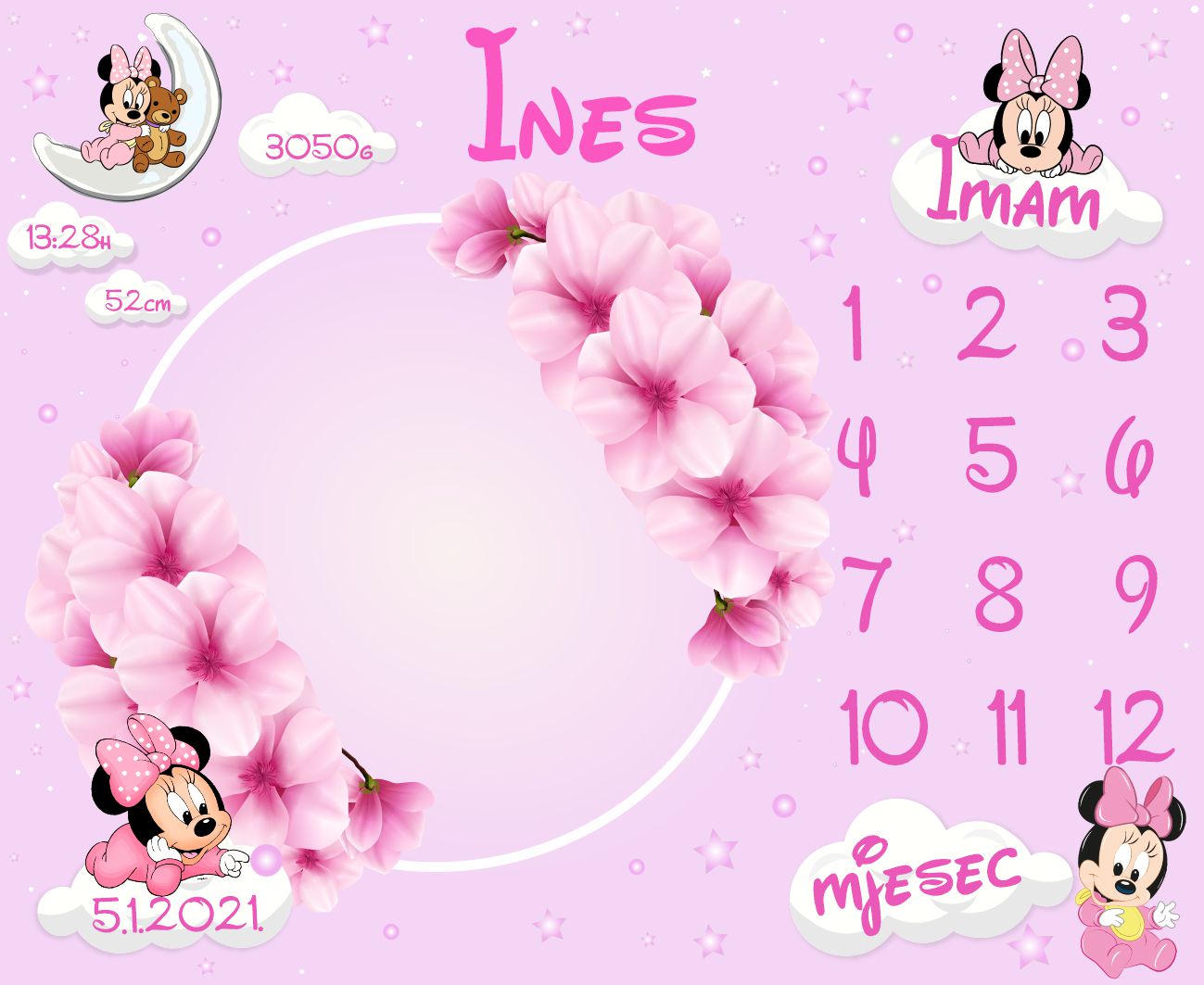 Minnie i bijele zvijezde