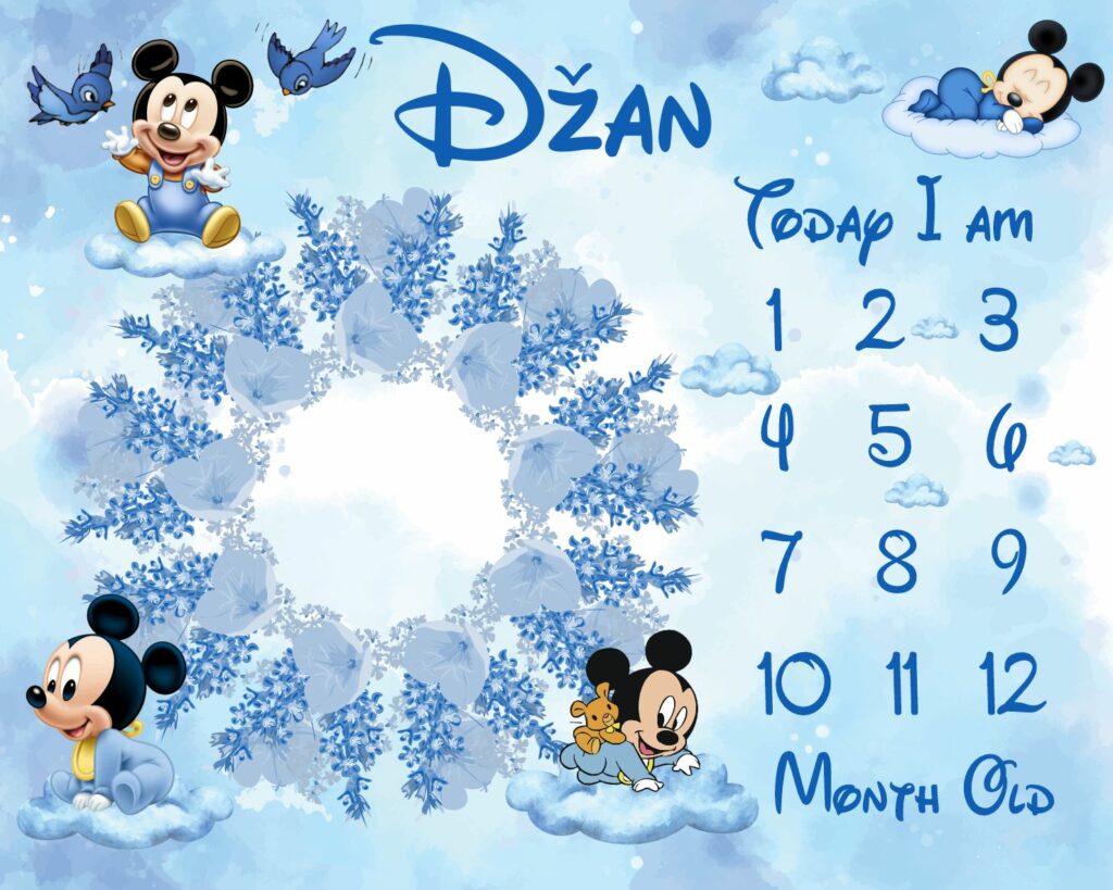 Mickey i ledeni vijenac