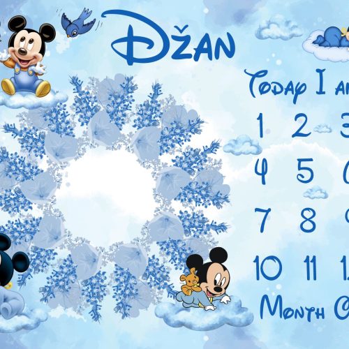 Mickey i ledeni vijenac